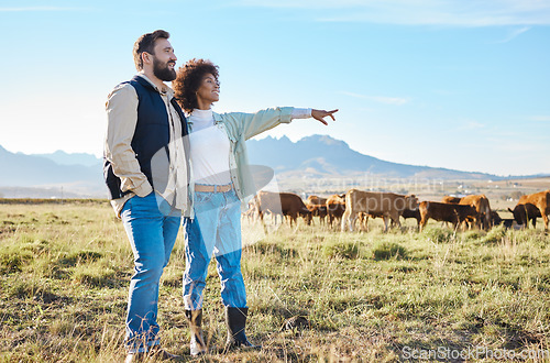 Image of Nature, cows and couple standing on farm for sustainable, agriculture or organic livestock maintenance. Agro, farming and eco friendly interracial man and woman by field with cattle in countryside.