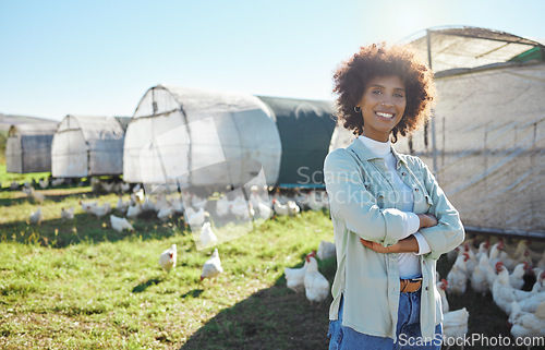 Image of Agriculture, portrait and black woman leadership, proud and farming in sustainable chicken, free range and food industry. Sustainability, small business owner or farmer person with animal on field