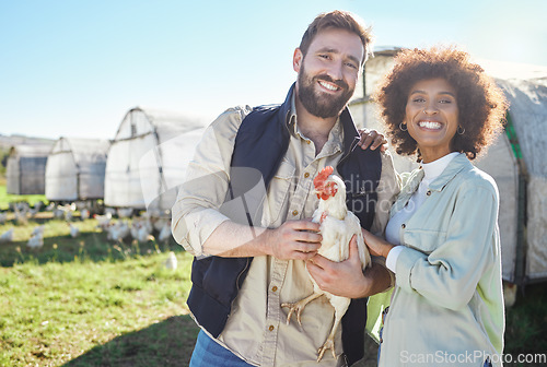 Image of Farmer couple, chicken and agriculture with animal on farm, portrait and poultry farming with organic free range product. Livestock, agro business and sustainability with people in protein industry