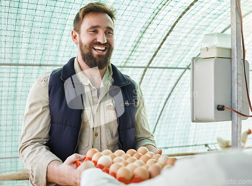 Image of Farm, agriculture and man with egg for quality control, growth production and food industry. Poultry farming, countryside and farmer with chicken eggs for logistics, protein market and inspection