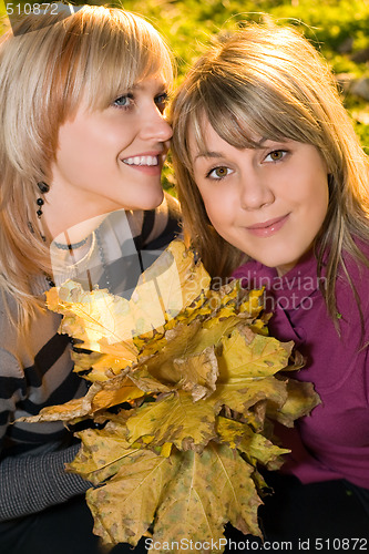 Image of Portrait of the two young beauty blonde with autumn leaves