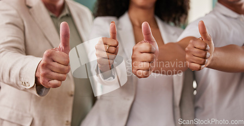 Image of Business people, hands and thumbs up for winning, agreement or good job at the office. Group of employee workers showing hand sign or emoji in team support for like, agree or yes at workplace