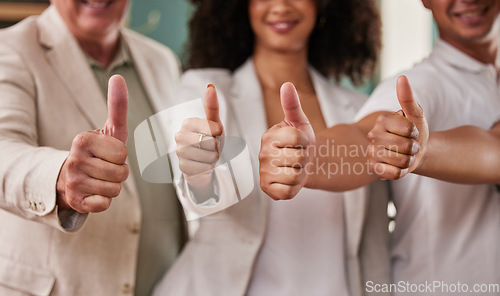 Image of Business people, hands and thumbs up for winning, team or agreement in good job at the office. Group of employee workers showing hand sign or emoji in support for like, agree or yes at workplace