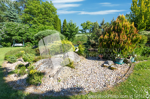 Image of summer garden with conifer trees