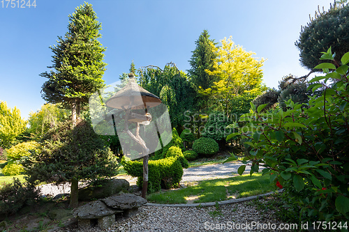 Image of summer garden with conifer trees