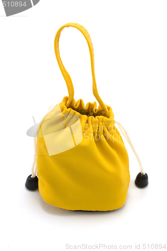Image of Yellow sac 