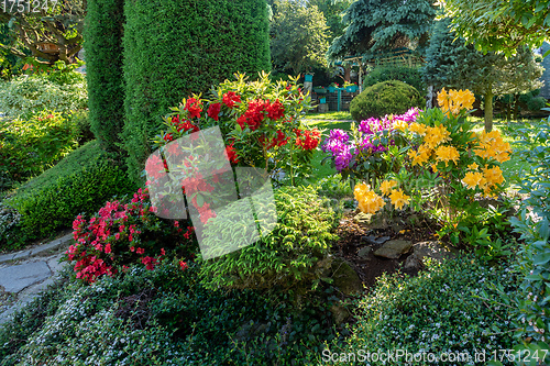 Image of summer garden with conifer trees