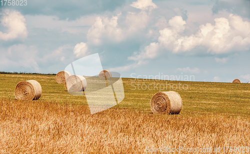 Image of Straw bales stacked in a field at summer time