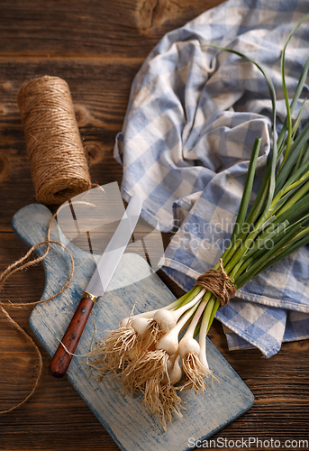 Image of Spring organic garlic