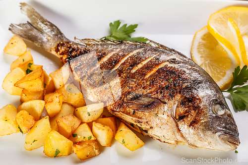 Image of Sea bream fish