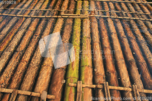 Image of Bamboo raft