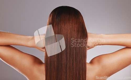 Image of Hair care, salon and back of a brunette woman isolated on a grey studio background. Shampoo, cosmetics and model with shine from smooth, healthy and clean luxury keratin hairstyle on a backdrop