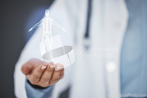 Image of 3d skeleton hologram, hands or doctor on AI overlay in office for futuristic, innovation or abstract information technology. Surgery, UX or healthcare nurse on medical, digital or human body diagram