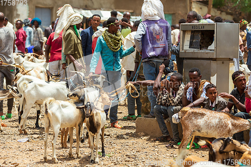 Image of Ethiopian people selling firewood, Ethiopia Africa