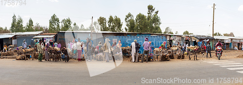 Image of Ethiopian people selling firewood, Ethiopia Africa