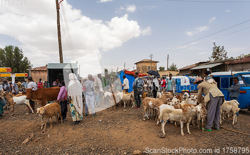 Image of Ethiopian people selling firewood, Ethiopia Africa