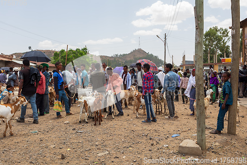 Image of Ethiopian people selling firewood, Ethiopia Africa