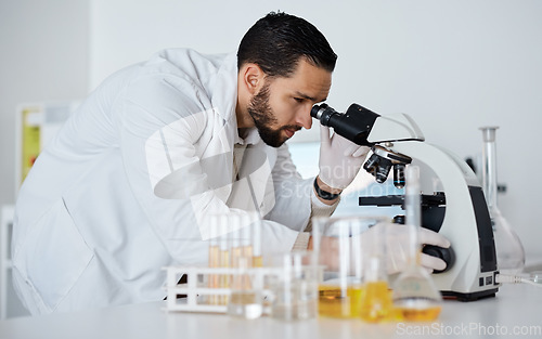 Image of Science, microscope and medical with a doctor man at work in a laboratory for innovation or development. Research, analytics and biotechnology with a male scientist working in a lab for breakthrough