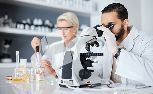 Image of Science, collaboration and innovation with a medicine team working in a laboratory for research or development. Doctor, teamwork or medical with a man and woman scientist at work in a pathology lab