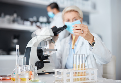 Image of Microscope, face mask and science woman analysis of bacteria, virus or covid liquid solution in laboratory. Biotechnology, vaccine research or medicine study of scientist or medical person test tube