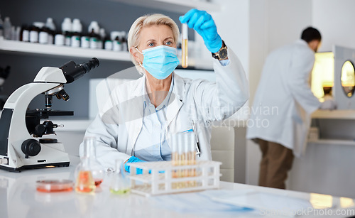 Image of Senior woman, scientist and test tube with pharmaceutical research in a laboratory. University lab, chemistry study and focus of a clinic employee checking chemical results for healthcare innovation