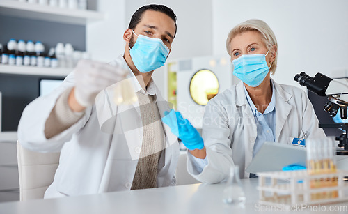 Image of Medical science, doctors and laboratory with face mask or ppe for medicine research, test or analysis. Man and woman scientist collaboration for futuristic chemical cure, innovation and development