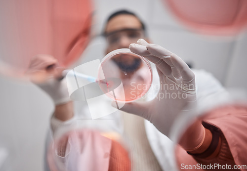 Image of Scientist, petri dish and pharma test worker man working on science research in a laboratory. Medical container, study and analytics of a pharmaceutical solution of a lab with hospital data