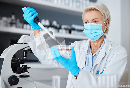 Image of Woman, doctor and pipette in experiment with mask or gloves for safety, sample or testing in scientific research at lab. Female scientist or medical expert working with chemical in science laboratory