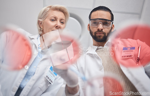 Image of Teamwork, laboratory and science by scientists in analytics research a sample in a lab working for results. Professional, expert and medical technician in a laboratory as team, DNA and collaboration