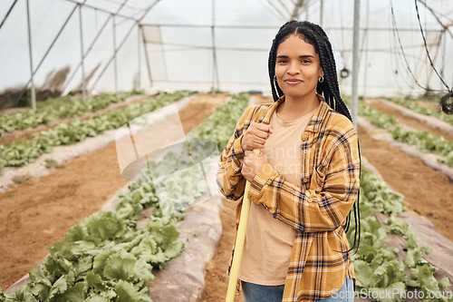 Image of Black woman, farmer in portrait on farm and farming in greenhouse, sustainability with crop harvest. Environment, agriculture and fresh vegetable produce, green lettuce and eco friendly production