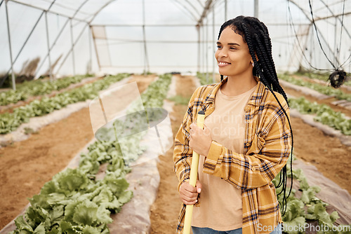 Image of Black woman, farmer happy with agriculture and thinking about farming in greenhouse, sustainability with crop harvest. Environment, farm and vegetables with green lettuce production and agro vision