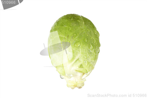 Image of Brussel Sprout