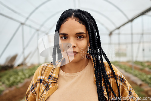 Image of Black woman, farmer in portrait with agriculture and farming in greenhouse, sustainability with crop harvest. Environment, farm fresh fruit and vegetable produce, green and eco friendly production