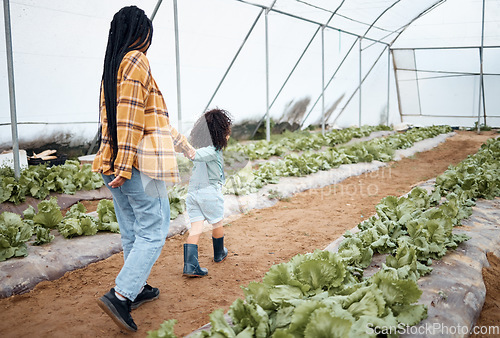 Image of Agriculture, farm and mother with girl in greenhouse for gardening, farming and harvest vegetables. Black family, nature and happy child walking with mom for growing plants, organic food and produce