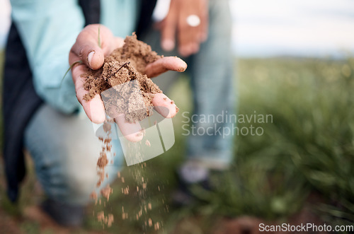 Image of Farmer, hands or checking soil in farming field, agriculture land or countryside sustainability in vegetables growth success. Zoom, black man or gardening worker holding fertilizer, mud or earth dirt