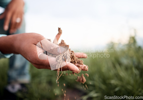 Image of Black man, hands or checking soil in farming field, agriculture land or countryside sustainability in vegetables growth success. Zoom, farmer or gardening worker holding fertilizer, mud or earth dirt