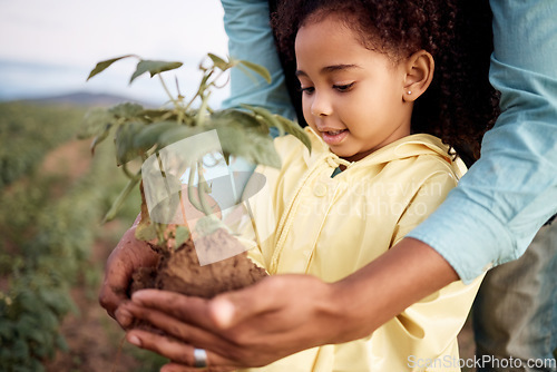 Image of Nature, sustainable and child with a plant on farm for planting eco friendly, organic and green leaves. Agriculture, farming and young agro girl kid holding soil and greenery in field in countryside.