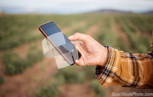 Image of Phone, hands and farmer at farm typing, texting or web scrolling on sustainable technology. Mobile screen, agriculture and female with 5g smartphone for social media or app to check growth of plants