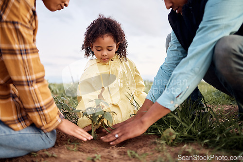 Image of Family, girl and parents planting for growth, agriculture or loving on countryside break, bonding or hobby. Love, father or mother with daughter, learning or child development with organic vegetation