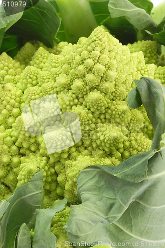 Image of Romanesco_1