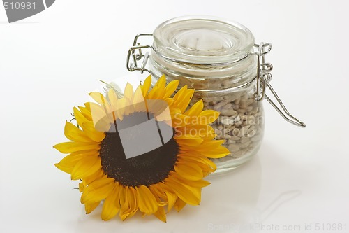 Image of Sunflower seeds