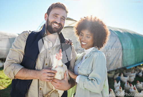 Image of Couple, farmer and agriculture, chicken and livestock, poultry farming and nature, organic free range agro business. Interracial people, team and smile in portrait, animal on farm and sustainability