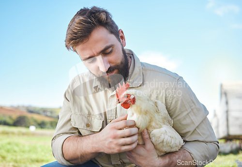 Image of Farming, food and man with a chicken on a farm for business, ecology and working in agriculture. Sustainability, environment and farmer holding a bird for a check in the countryside of Brazil