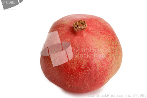Image of Pomegranate_4