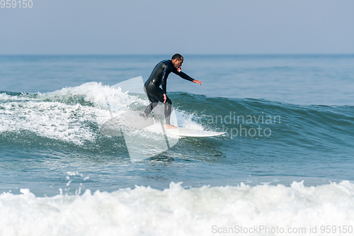 Image of Surfing the waves