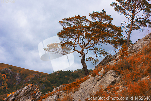 Image of Amazing view of the autumn day