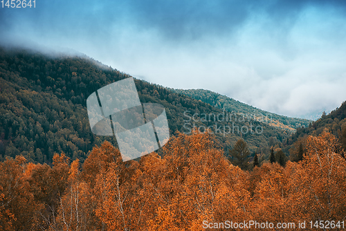 Image of Amazing view of the autumn day