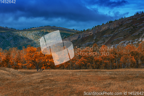 Image of Amazing view of the autumn day