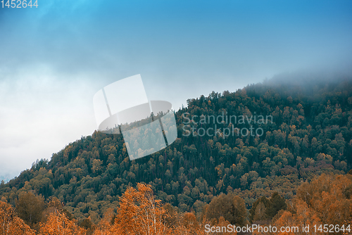 Image of Amazing view of the autumn day