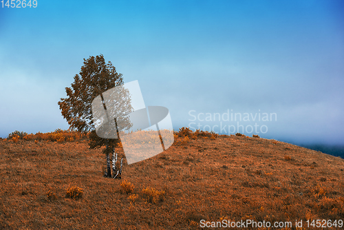 Image of Amazing view of the autumn day